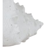 ONLI Stona lampa PORCELLANA 1xE14/6W/230V 29 cm školjke | Eponuda.com