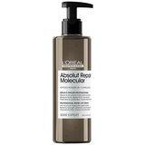  Serum za ispiranje ABSOLUT REPAIR MOLECULAR 250 ml | shoptok.hr