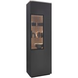 Dieter Knoll VITRINA, hrast antracit, barve hrasta | Shoptok.si