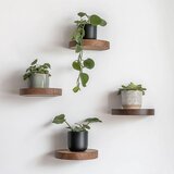 Hanah home Raf282 Wooden Decorative Wooden Wall Shelf | ePonuda.com