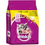 Whiskas Junior piščanec - 7 kg Cene