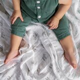 Aden+Anais komplet 3 tetra pelena iz organskog pamuka 70x70 above the clouds | shoptok.hr