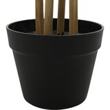  Umjetno bambusovo drvo Zelena 75,5 x 18 x 175 cm | Eponuda.com