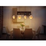 Globo 16090-4H - Viseći luster na sajli DAREN 4xE27/40W/230V | Eponuda.com