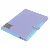 Fascikla Berlingo sa 5 pregrada i kopčom Haze 600my Berlingo ljubičasta 04CEB327172L Cene