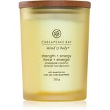 Chesapeake Bay Candle Mind & Body Strength & Energy mirisna svijeća 250 g Cijene