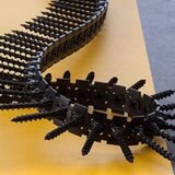  Vijak za gips ploče 3,5X45mm DeWalt DWF4000450 1000-1 | shoptok.hr