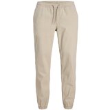 Jack & Jones Hlače 'JPSTGORDON DYLAN' kamen Cene