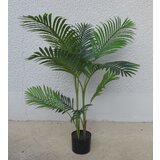 Lilium dekorativna palma 110cm 567332 Cene