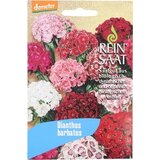 ReinSaat Turški nagelj '' Dianthus barbatus '' Cene