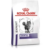 Royal Canin Expert Feline Dental - Varčno pakiranje: 2 x 3 kg