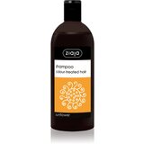 Ziaja Family Shampoo šampon za barvane lase 500 ml Cene