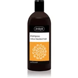 Ziaja Family Shampoo šampon za barvane lase 500 ml