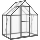 Furnova Rastlinjak z okvirjem antracit 169x114x195 cm aluminij, (21948503) | Shoptok.si