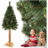  CT0274 ŠKOTSKI BOR NA DEBLU 220 CM | shoptok.hr