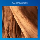 Davidoff Cool Water Parfum parfem za muškarce 50 ml | shoptok.hr
