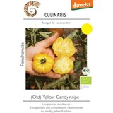 Culinaris Bio mesnat paradižnik Old Yellow Candystripe | Shoptok.si