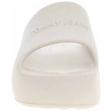 Tommy Hilfiger Nizki čevlji EN0EN02879ACG pisana | Shoptok.si