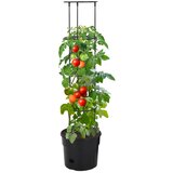 Maison Chic Lonec za gojenje paradižnika Ø29,5x115 cm polipropilen, (21789408) | Shoptok.si