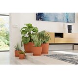 Artevasi Podstavek za cvetlični lonec iz terakote ø 36 cm – | Shoptok.si