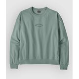 Patagonia 95 Oval Logo Daily Crew Sweater cover green | Shoptok.si