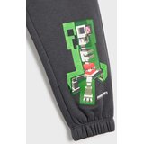 Sinsay Podstavljene jogger hlače Minecraft | shoptok.hr