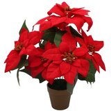 Molarem Home Umjetna crvena Božićna zvijezda u zlatnoj tegli - 38 cm Slike