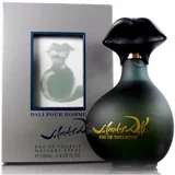 Muška toaletna voda Dali Pour Homme Parfums, EDT, 100 ml
