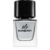 Burberry Mr. toaletna voda za moške 50 ml