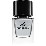 Burberry Mr. toaletna voda za muškarce 50 ml Cijene