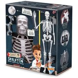 BUKI Skelet ( 104919 ) | Eponuda.com