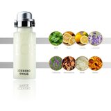 Iceberg Twice pour Homme toaletna voda za muškarce 75 ml | shoptok.hr