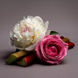 SCENT OF STARS Lyra Blossom Nº 52 parfemska voda za žene 100 ml | shoptok.hr