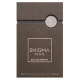 French Avenue Unisex parfem Enigma Trois, EDP, 100 ml | Eponuda.com