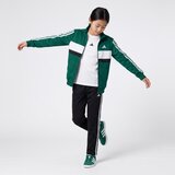 Adidas Trenirka komplet - Zelena | Shoptok.si