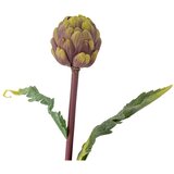 Bloomingville Umetna rastlina (višina 54 cm) Protea – | Shoptok.si