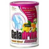 Orling Prašak Geladrink artrodiet, 390g Cene