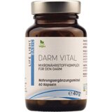 Life Light darm Vital - 60 kaps. Cene