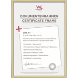 Walther New Lifestyle 21x29,7 Resin gold DIN A4 KV130G | shoptok.hr