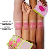 Too Faced Holiday Fairytale Crush Blush & Highlighter Set paleta rdečil za konture z osvetljevalcem 10 g | Shoptok.si