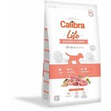 CALIBRA Dog Life Starter & Puppy Jagnjetina, hrana za pse 2,5kg Cene