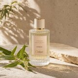 Chloé Verbena parfumirana voda za ženske 150 ml | Shoptok.si