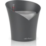 LECHUZA Okrasna posoda Orchidea - Škrlatno siva mat | Shoptok.si