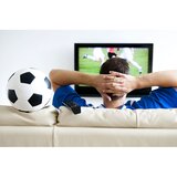 Emos sobna antena EM-9041 J0682 | Shoptok.si