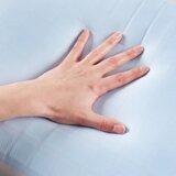 Premium Living Vzglavnik Za Vrat Cloud | Shoptok.si