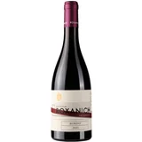 Bordo