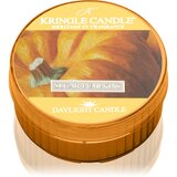 Kringle Candle Sugar Pumpkins čajna sveča 42 g | Shoptok.si