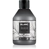 Black Professional Line Line Volume Up Shampoo šampon za volumen za nježnu kosu 300 ml Cijene