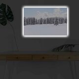 Wallity Zidna slika sa LED osvjetljenjem 4570KARDACT - 015, 45x70 cm | Eponuda.ba