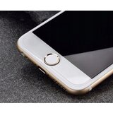 HURTEL KALJENO STEKLO KALJENO STEKLO ZASLON ZA NOKIA G21 G11 STRONG, (21911339) | Shoptok.si